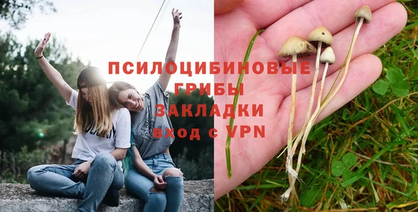 марки lsd Алексеевка