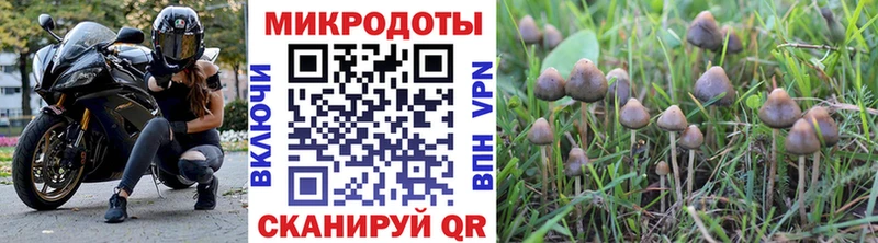 где найти   площадка как зайти  Псилоцибиновые грибы Magic Shrooms  Апрелевка 